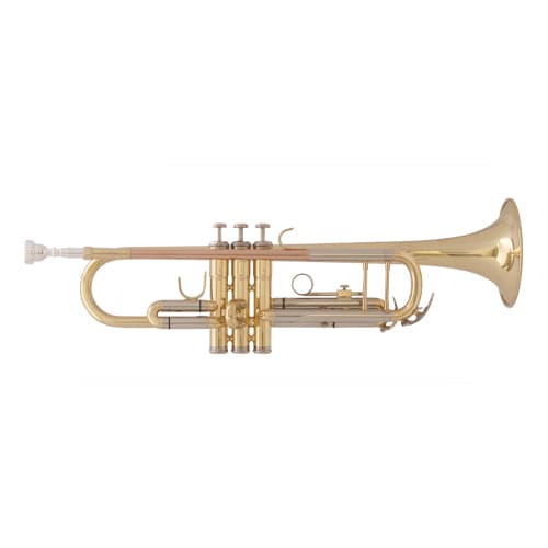 F. Schmidt H301L Trumpet Rose brass leadpipe, monel valves