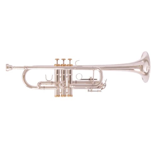 F. Schmidt Pro C Trpt Slvr Lg Bore W/C