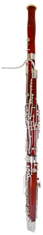 Schott BSN220 Bassoon Maple