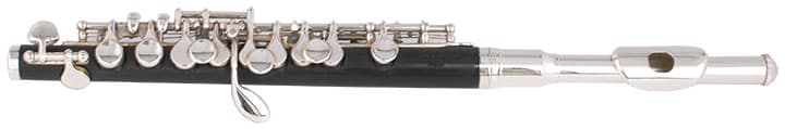 Tannoy PIC32 Piccolo ABS
