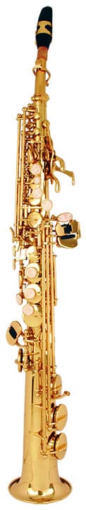 Tannoy R300SS Saxophone