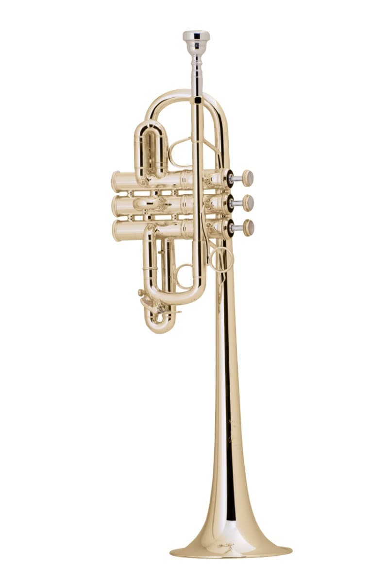 STONELINED WAWAH BASS TROMBONE MUTE