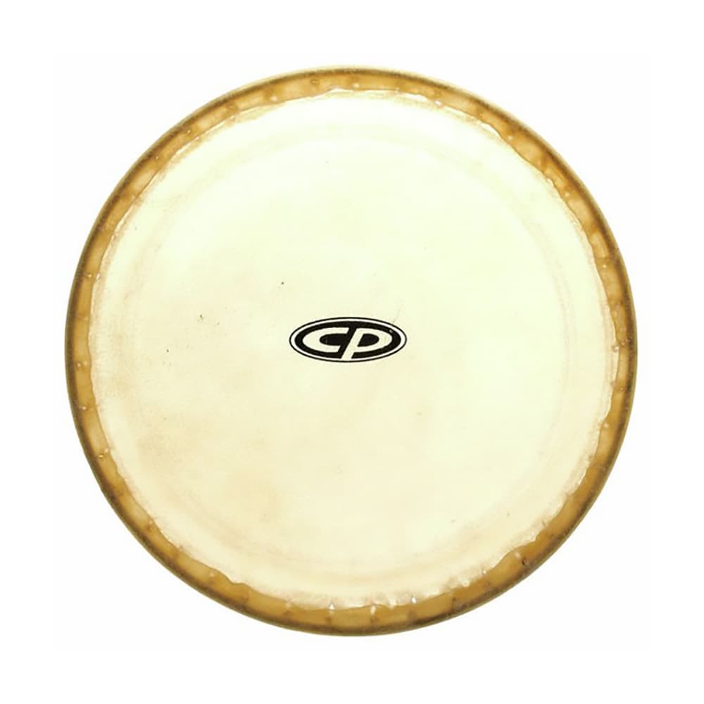 Latin Percussion 10 inREPLCMNT HEAD FOR CP636-WRB