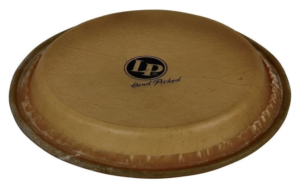Latin Percussion Mtd Jr Conga Head Large