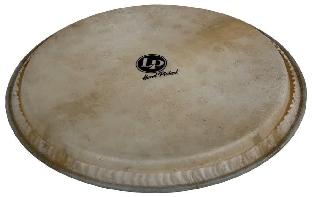Latin Percussion 14 in GALAXY DJEMBE REPL. HEAD