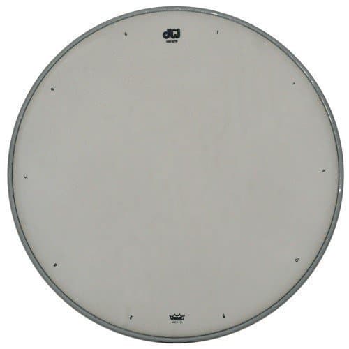 14 Inch Coated Snare Drum Head w/ Tuning Sequence