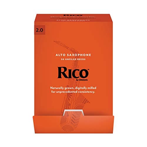 D'Addario Rico Alto Saxophone Reed